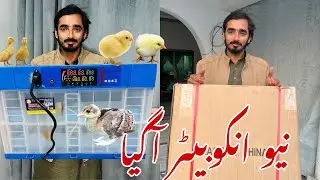 Incubator Ly Liya | 128 Eggs Wala Incubator | Intelijent Incubator | ​⁠@dehatistan