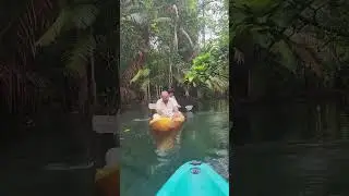 Kayaking in Hidden Freshwater Lagoon.. 