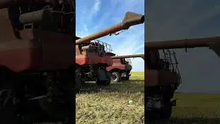 BHK AGRO официальный дилер техники New Holland и Case в Казахстане