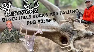 BLACK HILLS BUCKS ARE FALLING | PUBLIC LAND QUEST S2: EP 5