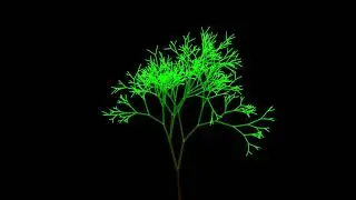 Random trees in GeoGebra