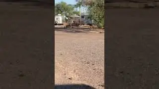 Video of Sonoran Skies Campground, AZ from Kaylene H.