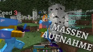 Bambus Varo 3 | Massen aufnahme