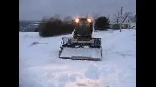 Bobcat Playing in the Snow
