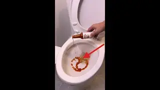 SPRAY CASERO con Salsa Picante | Tu Ba&ntilde;o IMPECABLE sin Gastar en Productos Caros