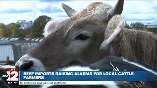 Beef import shock; Mid-Michigan farmers worry Trump's Argentina deal will hurt local producers
