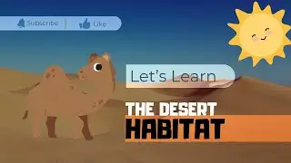 Venturing into the Desert Habitat