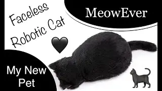 Japanese Robotic Pets: MeowEver Cat Cushion Robotic Therapy Pet Pseudo Pet Sleeping Faux Fake Cat