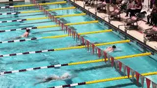 E 32 H1 Men 200 Breast Final