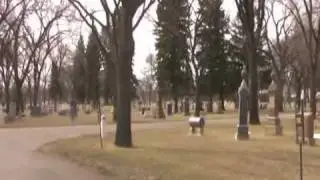 Funeral Plans - Casket Choices