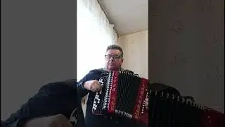 #shubert #serenade #List #accordion #cover #music #musica