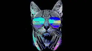 Unknown Artist &ndash; Mystery White LabelTribal House / Vinyl / HQ Audio