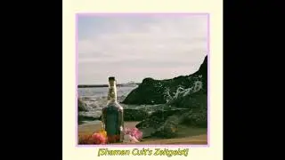 Shaman Cult - Zeitgeist Demo