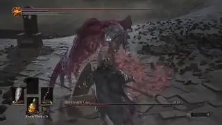 Slave Knight Gael vs Rotten Ghru Dagger NG+1 Dark Souls 3 Solo Boss Fight