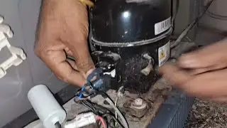 Refrigerator compressor not working 