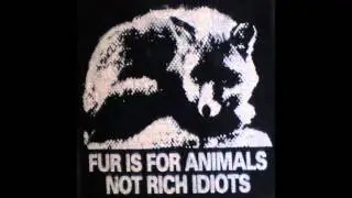 Money Hater - Fur Is for Animals, Not for Rich Idiots