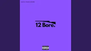 12 Bore