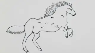 How to draw horse with simple steps |