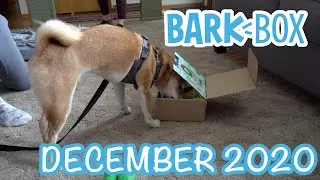 BarkBox Unboxing December 2020 - Dog Opens and Reviews the Peanuts Christmas BarkBox!