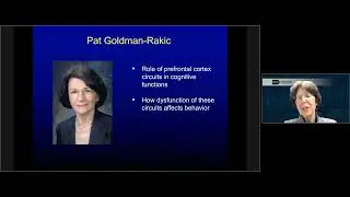 From Knowledge to Action: Roles of the Primate Prefrontal Cortex