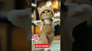 🔥 RCB Fans Can&rsquo;t Stop Watching This! 🤩 | IPL 2025 Highlights & Reactions#ipllive