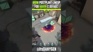 BRIMSTONE POSTPLANT LINEUP FOR HAVEN C DEFAULT