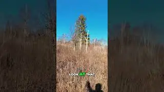 Обнаружение укромного места для отдыха во время спокойной прогулки!