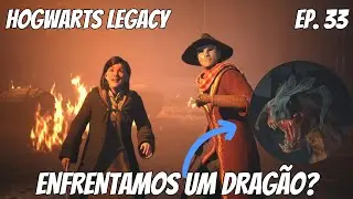 HOGWARTS LEGACY - O DRAG&Atilde;O NEGRO DAS ILHAS H&Eacute;BRIDAS! #33