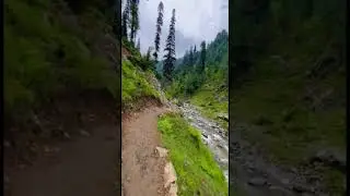 Jarogo waterfall track #jarogoswat #greenswat