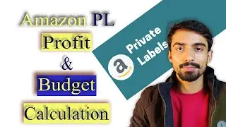How to Calculate Amazon Private Label Launch Budget and Profits