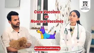 Core vs Non-Core Vaccines for Dogs, Vet Answers Common Questions