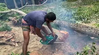 village tree cutting in Bangladesh