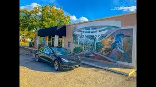 Tesla Model 3 Maiden Voyage - The Lake Placid Murals - Lake Placid FL