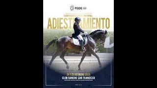 CAMPEONATO NACIONAL ADIESTRAMIENTO 2025 - DOMINGO