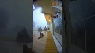 POV: Nature Went Too Far  #cat #shorts