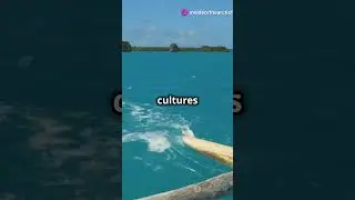 The Epic Polynesian Expansion: A Legacy of Exploration #history #ancient  #shorts