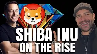 Shiba Inu (SHIB) Rises 17% After Elon Musk Dog Tweet - News Update 28 June 2021