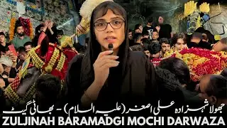 Jhoola Shehzada Ali Asghar(as) Bhati Gate | Zuljinah Baramadgi Mochi Darwaza 2024