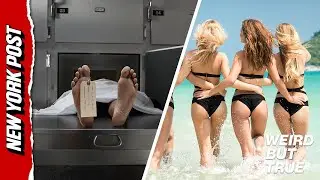 Жир &mdash; это факт! Женщины делают бразильскую подтяжку ягодиц из трупов | Странно, но правда