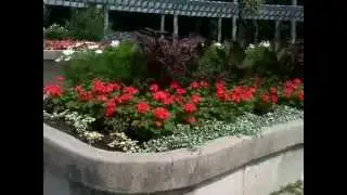 Rosetta Park