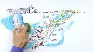 Bioprotect - H2O Biofouling Solutions / Five Oceans Environmental Services / SaltWater Environmental