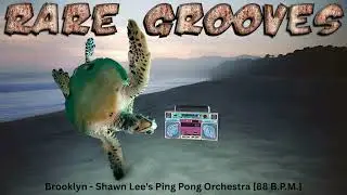 Brooklyn - Shawn Lee's Ping Pong Orchestra [88 B.P.M.]