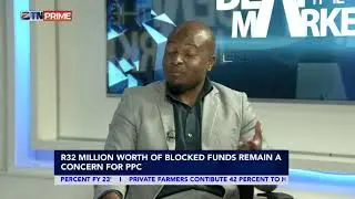 BEAT THE MARKET : HIPPO VALLEY REVENUE JUMPS 37 %, PPC ZIM REVENUE DIPS 19% FY 23