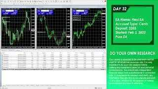 Forex EA Test 01 Live Account