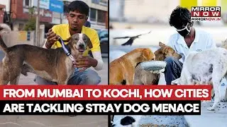 SC's Stray Dog Row: From Mumbai To Kochi, How Indian Cities Are Dealing With Stray Dog Menace?