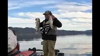 LAKE BERRYESSA BASS FISHING IN DECEMBER