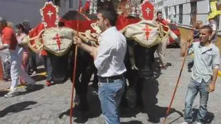 folkefest