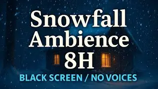 Snowfall Ambience for Deep Sleep • 8 Hours (Black Screen, No Voices)