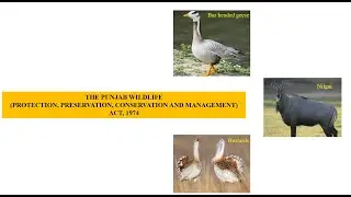 THE&nbsp;PUNJAB&nbsp;WILDLIFE ACT, 1974