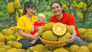 Harvesting Ripe Jackfruit on the Hill to Sell at the Market - Animal Care | SURVIVAL ALONE